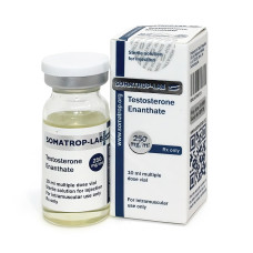 Testosterone Enanthate 1 vial/10 ml (250 mg/1 ml)